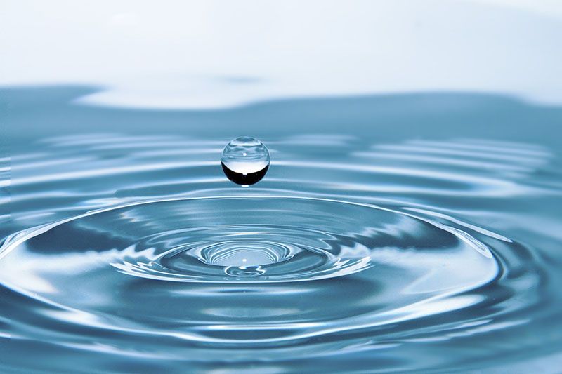 dia mundial del agua